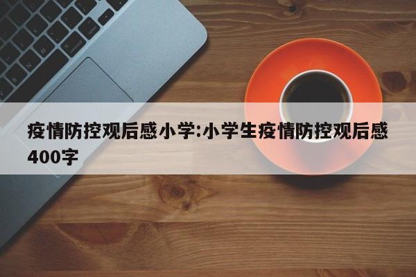 疫情防控观后感小学:小学生疫情防控观后感400字