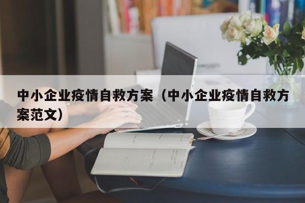 中小企业疫情自救方案（中小企业疫情自救方案范文）