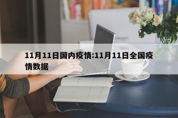 11月11日国内疫情:11月11日全国疫情数据