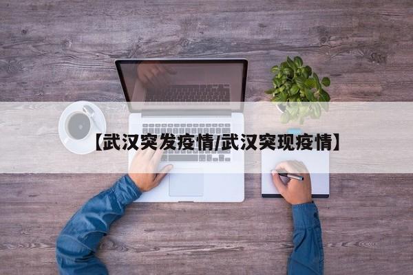 【武汉突发疫情/武汉突现疫情】