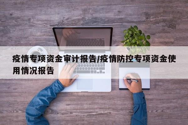 疫情专项资金审计报告/疫情防控专项资金使用情况报告