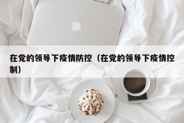 在党的领导下疫情防控（在党的领导下疫情控制）