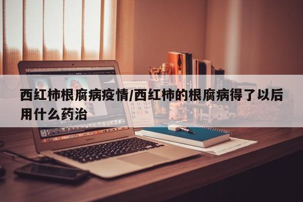 西红柿根腐病疫情/西红柿的根腐病得了以后用什么药治